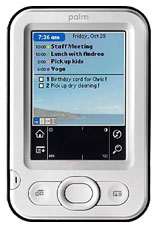 palm z22